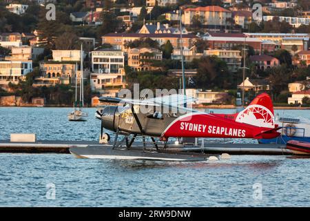 Sydney Seaplanes, The largest seaplane operator in Australia with a fleet of beautifully refurbished Beavers and turbo-prop Cessna Caravans, Rose Bay, Stock Photo