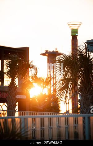 A stunning landscape featuring buildings, palm trees silhouetted against a sunset sky on Myrtle Beach Stock Photo