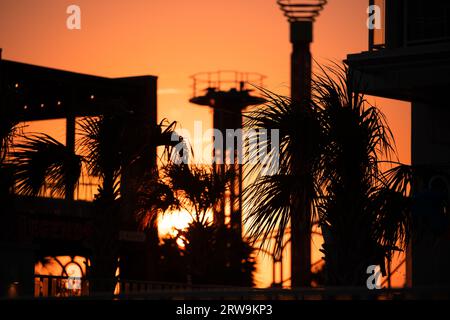 A stunning landscape featuring buildings, palm trees silhouetted against a sunset sky on Myrtle Beach Stock Photo