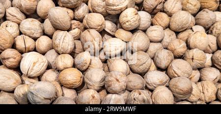 Walnuts background. Christmas background full of ripe walnuts. Stock Photo
