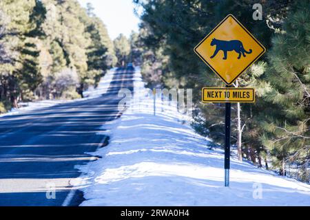 A snow leopard warning sign in the Grand Canyon, Arizona USA Stock Photo
