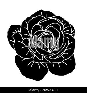 Hand drawn roses head silhouette for packaging, social media post, cover, banner, creative post and wall arts. Isolated rose bud sketches in black col Stock Vector