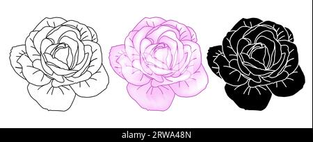 Hand drawn roses head set in pink color, silhouette and line art for packaging, social media post, cover, banner, creative post and wall arts. Isolate Stock Vector