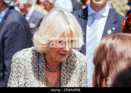 Wellington, New Zealand, 14th November 2012: The Prince Of Wales And Duchess Of Cornwall Visit Wellington in New Zealand Stock Photo