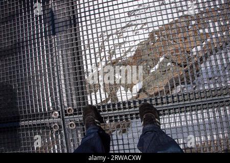 Taking the train ride up to Jungfraujoch, the top of Europe. Stock Photo