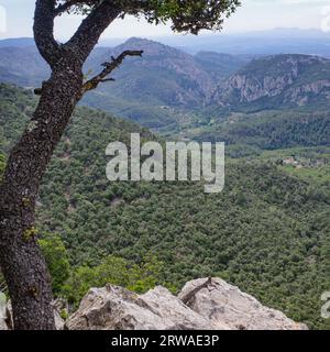 Esporles, Spain - 11 June, 2023: Views of the Tramuntana Mountains from the GR221 trail, Esporles, Mallorca Stock Photo