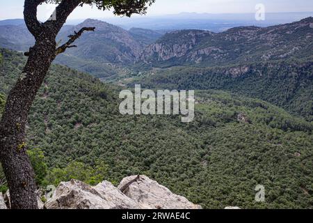 Esporles, Spain - 11 June, 2023: Views of the Tramuntana Mountains from the GR221 trail, Esporles, Mallorca Stock Photo