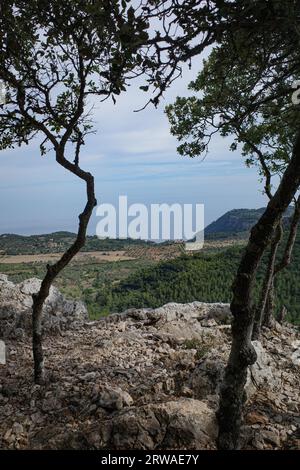 Esporles, Spain - 11 June, 2023: Views of the Tramuntana Mountains from the GR221 trail, Esporles, Mallorca Stock Photo