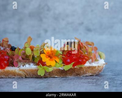 Pretty 'floral toast': close up of a slice of sourdough topped with colourful salad leaves (sorrel), caviar (fish roe) and edible flowers in profile Stock Photo
