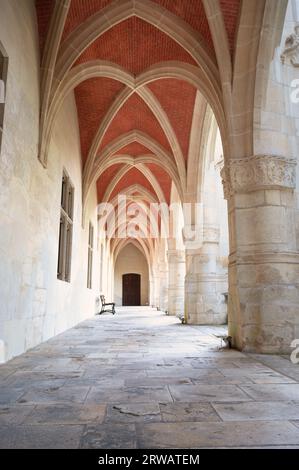 Palace of the Dukes of Lorraine, entrance of the museum in Nancy, France, medieval arch architecture Stock Photo