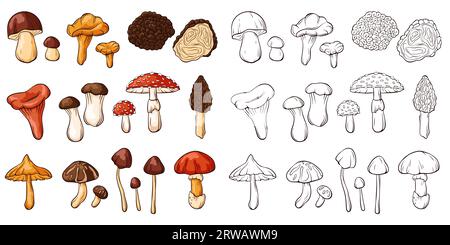 Edible and inedible mushrooms collection in line art style. Set of colorful and monochrome mushrooms. Perfect for recipe, menu, label, icon, packaging Stock Vector