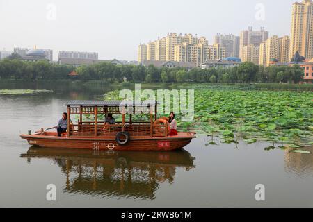 Luannan County, China - July 15, 2019: Visitors enjoy lotus flowers by boat, Luannan County, Hebei Province, China Stock Photo