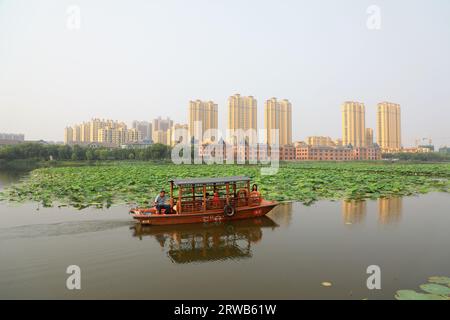 Luannan County, China - July 15, 2019: Visitors enjoy lotus flowers by boat, Luannan County, Hebei Province, China Stock Photo