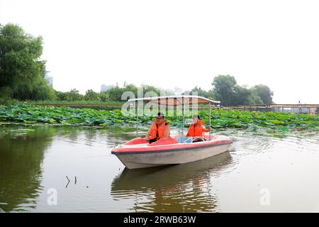 Luannan County, China - July 15, 2019: Visitors enjoy lotus flowers by boat, Luannan County, Hebei Province, China Stock Photo