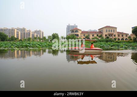 Luannan County, China - July 15, 2019: Visitors enjoy lotus flowers by boat, Luannan County, Hebei Province, China Stock Photo