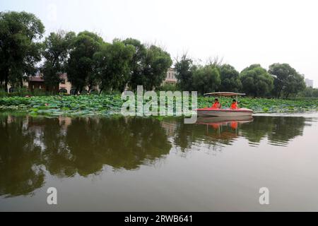 Luannan County, China - July 15, 2019: Visitors enjoy lotus flowers by boat, Luannan County, Hebei Province, China Stock Photo