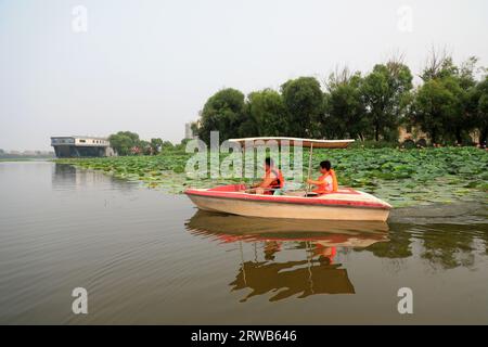 Luannan County, China - July 15, 2019: Visitors enjoy lotus flowers by boat, Luannan County, Hebei Province, China Stock Photo