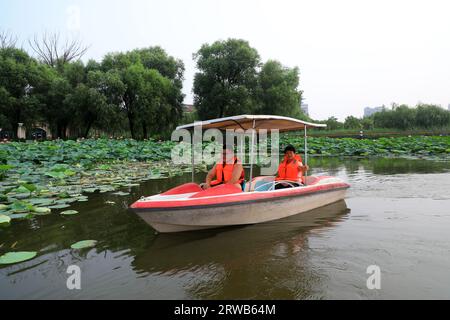 Luannan County, China - July 15, 2019: Visitors enjoy lotus flowers by boat, Luannan County, Hebei Province, China Stock Photo