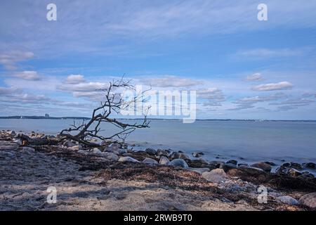 Rocky natural shoreline below the Brodtener Steilküste cliffs on the Baltic Sea Stock Photo