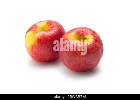 Single perfect fresh organic Ambrosia apple with water drop and leaf on white isolated background, clipping path. red apple is antioxidant fruit and h Stock Photo