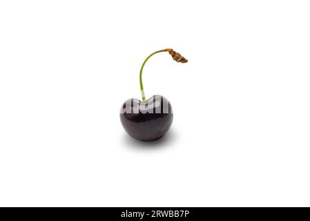 Cherry isolated on white background with clipping path, fresh cherries and sour with stems, berry fruit collection. Stock Photo