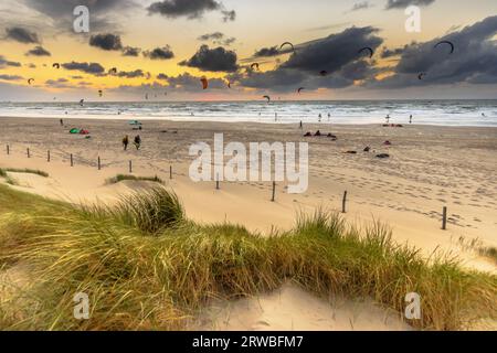 Kitesurfing seen from the dunes at sunset. Kite surf people activity on the beach under setting su at Wijk aan Zee, Netherlands. Stock Photo