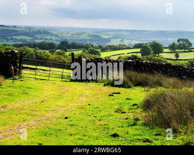 Backlit fields in Nidderdale from the Nidderdale Way near Heyshaw Nidderdale North Yorkshire England Stock Photo