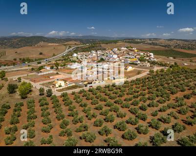 Aerial view of the town of Las Navas de Tolosa surrounded by olive fields (Jaén, Andalusia, Spain) ESP: Vista aérea del pueblo de las Navas de Tolosa Stock Photo