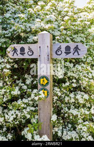 Footpath sign on for the Wales Coast Path & the Pembrokeshire Coast Path (acorn) at Little Haven in the Pembrokeshire Coast National Park, West Wales Stock Photo