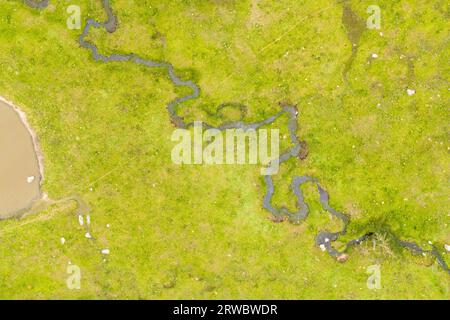 Aerial view of narrow river going through green grass near green trees growing in forest Stock Photo