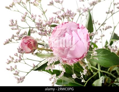 peony bouquet in front of white background Stock Photo