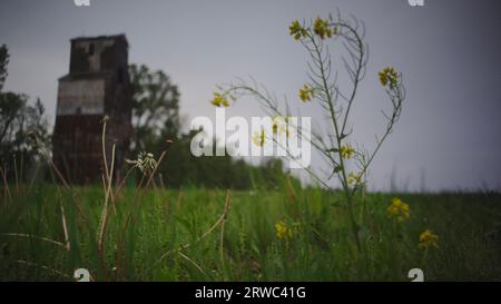 Old grain mill in a pastoral prairie bathed with sunshine with strong winds and the possibility of springtime storms. Stock Photo