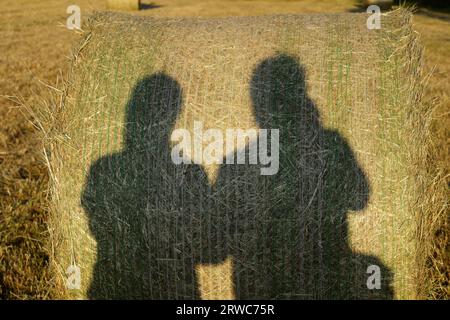 Photographer casts a shadow on a hay bale while taking a picture Stock Photo