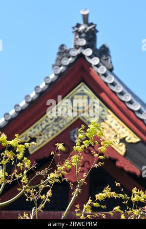 The cherry blossom season in Ueno Park is extremely popular with locals and visitors alike, Tokyo JP Stock Photo