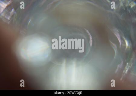 Bokeh photo background, beautiful shot focused and blurred with lens flare Stock Photo