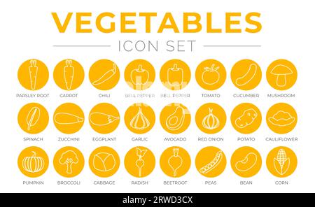 Outline Vegetables Round Yellow Icon Set of Parsey Root, Carrot, Chilli, Paprika, Pepper, Tomato, Cucumber, Mushroom, Spinach, Zucchini, Eggplant, Gar Stock Vector