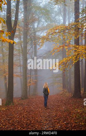 Woman walks in autumn misty forest. Foggy cold morning in woodland Stock Photo