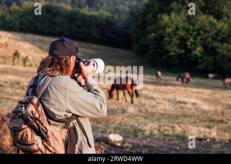Photographer with camera and telephoto lens taking picture of horse on pasture Stock Photo