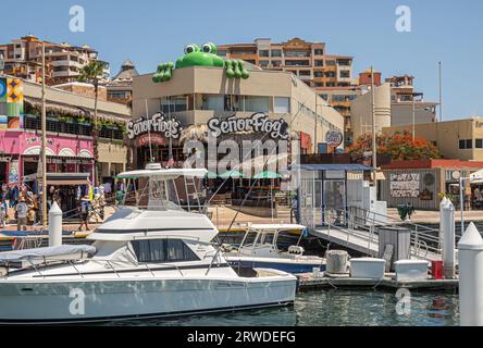 Mexico, Cabo San Lucas - July 16, 2023: Frontal view on Senor Frog bar and restaurant with giant green frog puppet in Marina Mercado, seen from yacht Stock Photo