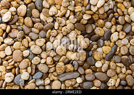 Stone background wallpaper. Wet stone. Stone texture. small stone background Stock Photo