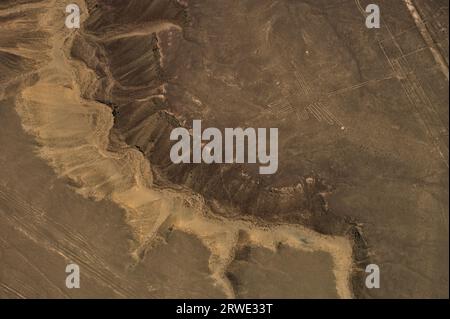 Aerial View of The Hummingbird Geoglyph at the Nazca Lines in Peru Stock Photo