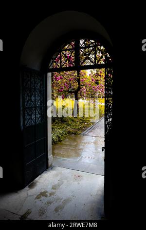 Door Entrance with Magnolia Tree in Patio in Schaffhausen, Switzerland Stock Photo