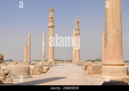 Pillars in ancient persian capital Persepolis, current Iran Stock Photo