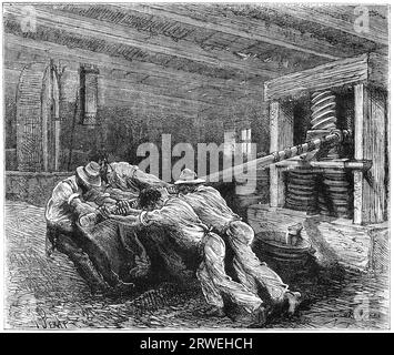 Men using an olive press. Illustration from a 1880 magazine Stock Photo