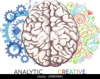 Left and right human brain functions Stock Vector