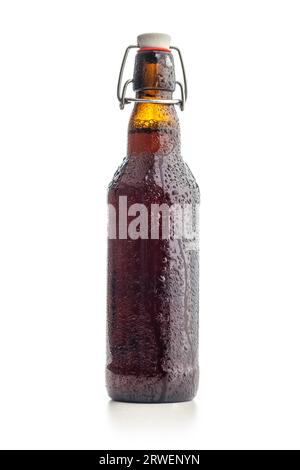 The beer bottle isolated on the white background. Stock Photo