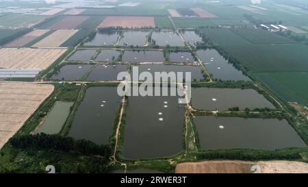 Pastoral scenery of North China Plain Stock Photo