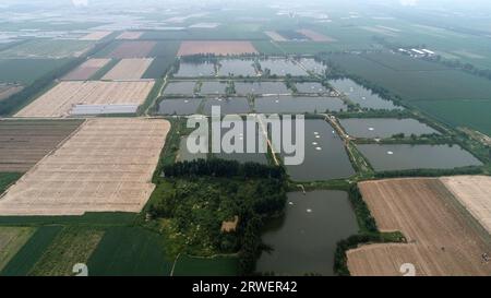 Pastoral scenery of North China Plain Stock Photo