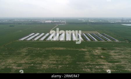 Pastoral scenery of North China Plain Stock Photo