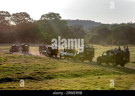 A convoy of safari jeeps exit Kaudulla National Park in Sri Lanka in the late afternoon. Stock Photo